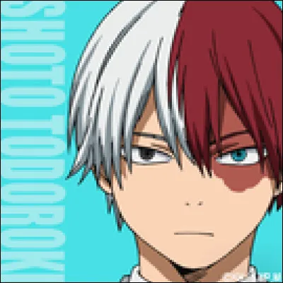 Qui est le père de Shoto Todoroki ?