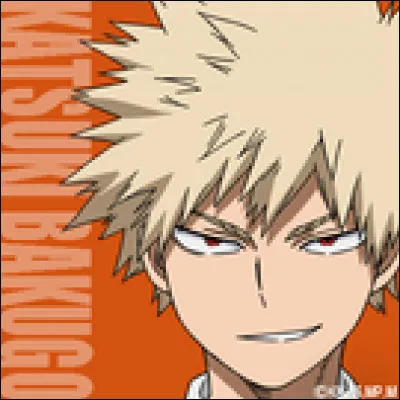 Katuski Bakugo a réussi à nouer une relation de respect mutuel avec un autre élève de la classe. De qui s'agit-il ?