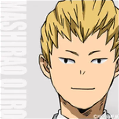 Quel est le nom de héros choisi par Ojiro Mashirao ?