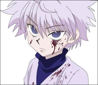 Quel est ce personnage de Hunter X Hunter ?