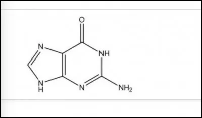 Ce nucléotide est :