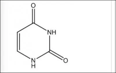 Ce nucléotide est :