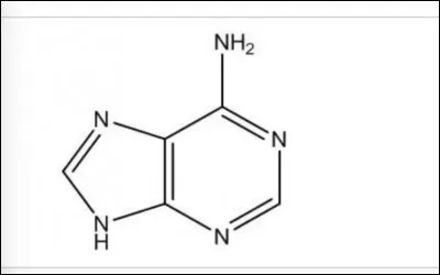 Ce nucléotide est :