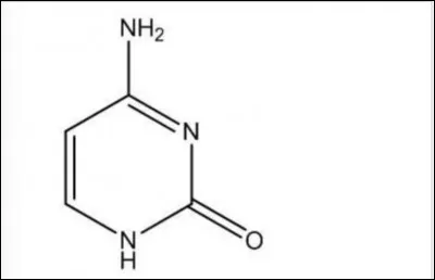 Ce nucléotide est :