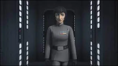 Qui est cet officier de l'Empire ?