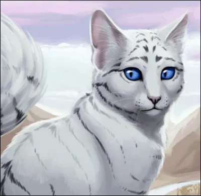 Qui est son mentor ?