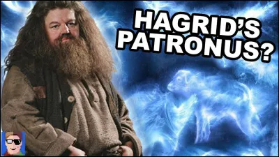 Quel est le patronus d'Hagrid ?