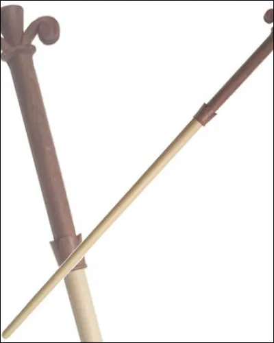 À laquelle de ces personnes cette baguette a-t-elle décidé d'obéir ?