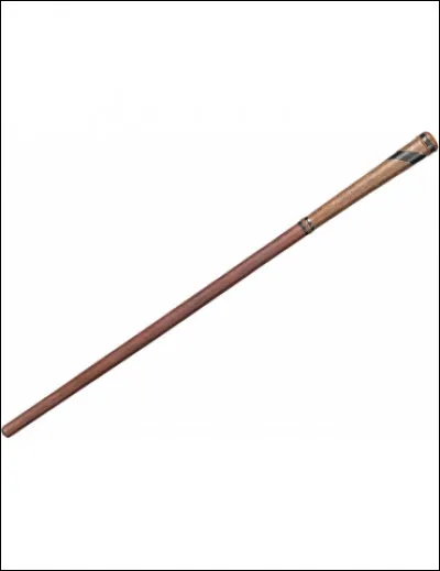 À qui appartient cette baguette magique ?