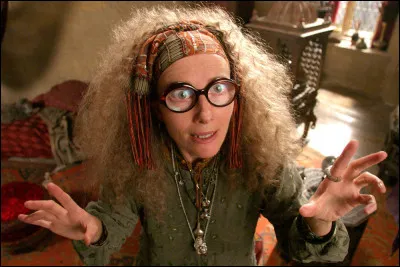 Laquelle est celle du professeur Trelawney ?