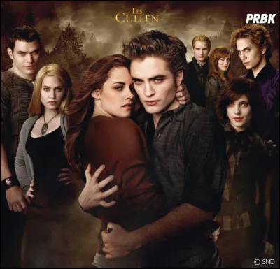 Qui est ton personnage préféré dans Twilight (tome 1 : Fascination) ?