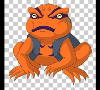 Comment ce crapaud s'appelle-t-il ?