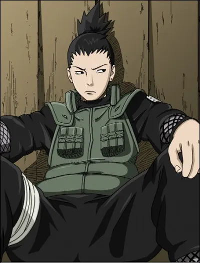 Aimes-tu Shikamaru Nara ?