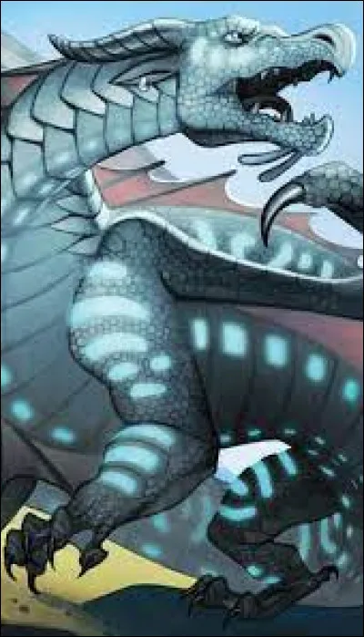 Qui est cet Aile de Mer ?