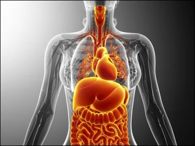 Les antioxydants sont très mauvais pour la santé.