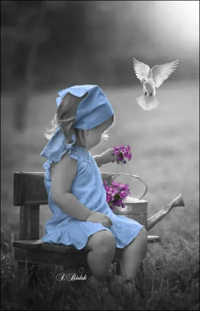 Qui a écrit le roman policier "Deux petites filles en bleu" ?