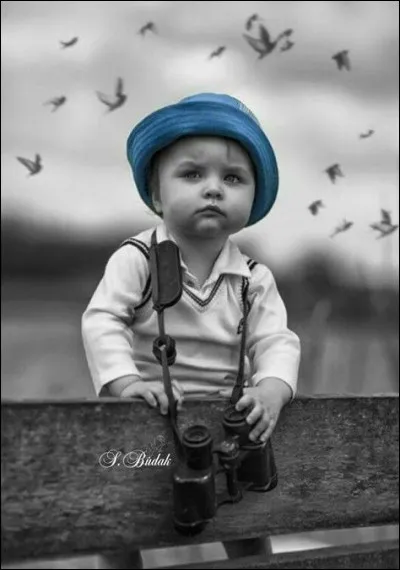 Ce siècle avait deux ans...comment Victor Hugo se décrit-il dans ce poème ?