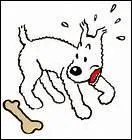 Comment s'appelle son chien fidle ?