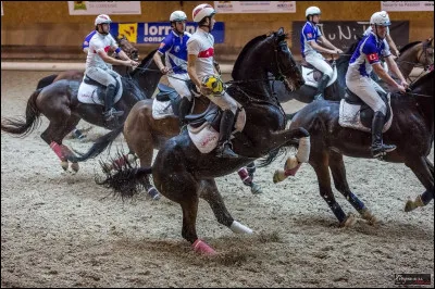 Quelle discipline apprécies-tu le plus ?