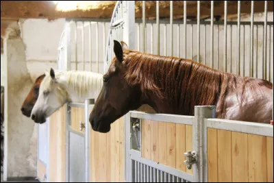 Quel est ton lieu de vie ?