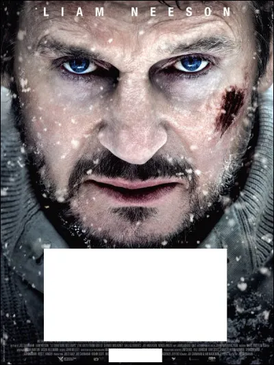 À quel film correspond cette affiche ?