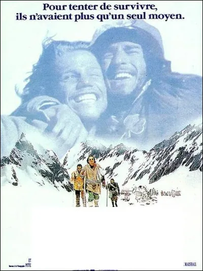 À quel film correspond cette affiche ?