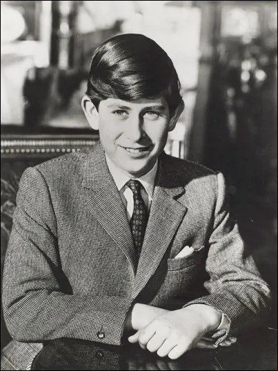 Quels sont les enfants du prince Charles ?