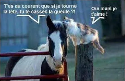 Quel est ton caractère ?