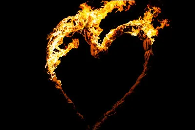 Ta passion, c'est...