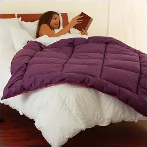 Les dredons traditionnels sont remplis de :