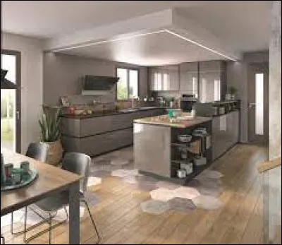 Comment appelle-t-on une cuisine ouverte non séparée du salon ou salle à manger ?