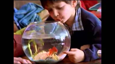 À quel réalisateur doit-on Crin-Blanc, en 1953 ?