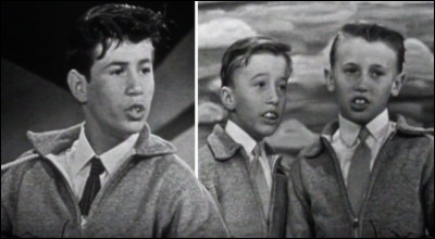 The Bee Gees : Quel est le lien de parenté des membres de ce groupe ?