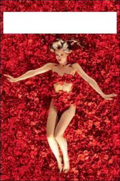 Quel film oscarisé se cache derrière cette affiche ?