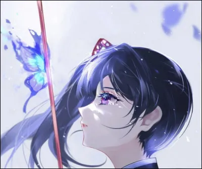 Quest-ce quun Successeur ?