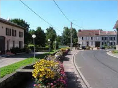 Je vous emmène à une dizaine de kilomètres de chez moi, à Neufmaisons. Village de la Communauté de communes de Vezouze en Piémont, il se situe dans le département ...