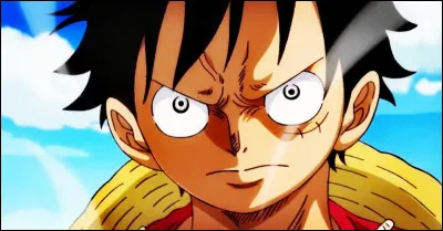 Contre qui Luffy s'est-il déjà battu ?