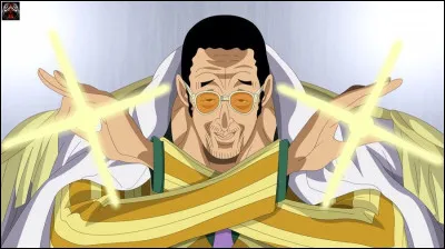 Qui ne s'est jamais battu contre Kizaru ?