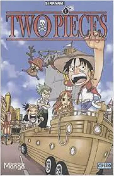 Qui a trouvé le One Piece dans Two Piece ?