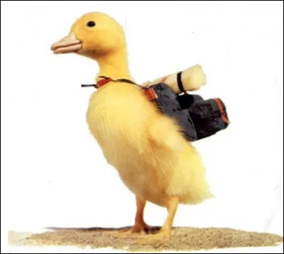 Qui est ce personnage, un canard jaune vedette d'une série télévisée de 1965 à 1970, pendant 78 épisodes ?