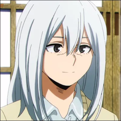 Comment s'appelle la mère de Shoto Todoroki ?