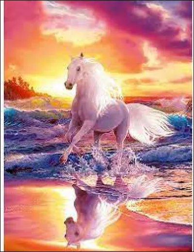 Quelle tenue préfères-tu ?