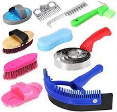 Quel élément pour penser ton poney préfères-tu ?