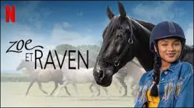 Quelle série équestre préfères-tu ?