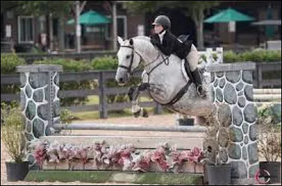 Fais-tu des concours ?