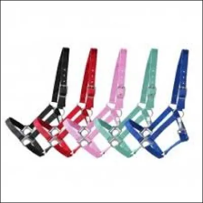 Quel licol préfères-tu ?