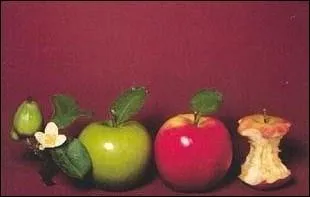 Combien Vivaldi a-t-il compos de saisons ?