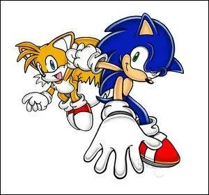 Quel est le meilleur ami de Sonic ?