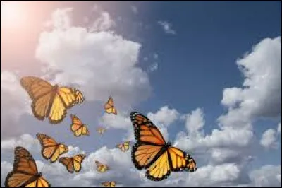 Qui a écrit "Papillon" ?