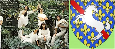 D&eacute;cid&eacute;ment, on en voit presque partout de ces oiseaux-l&agrave; !